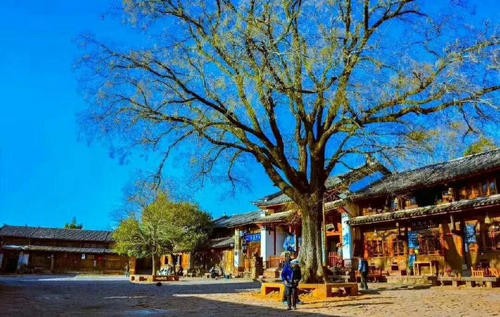 红薯与米-京津沪头条 文/王石白雨（图2）