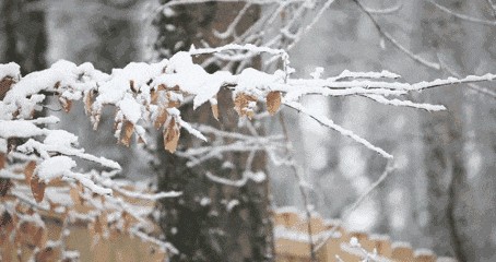 游离-京津沪头条 文/王石白雨