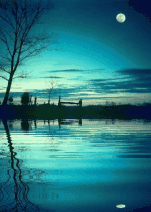 u_3276357306_723736278&fm_26&gp_0