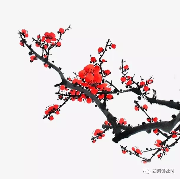 mmexport1578456945116.webp