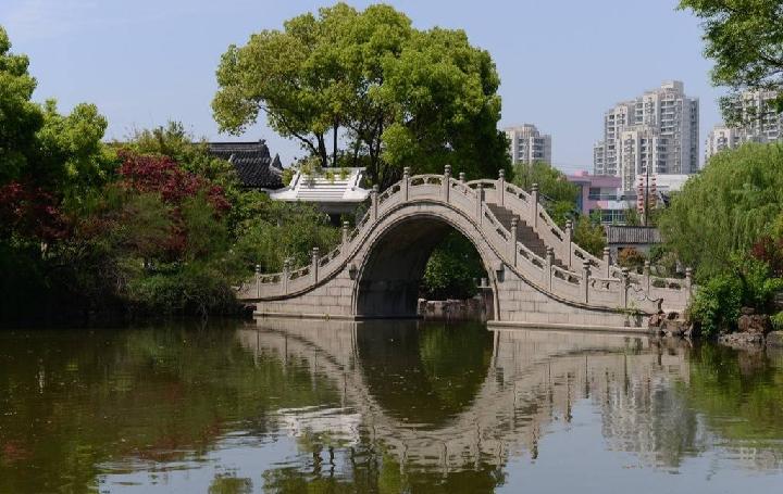 拱桥-京津沪头条 文/邹米（图3）