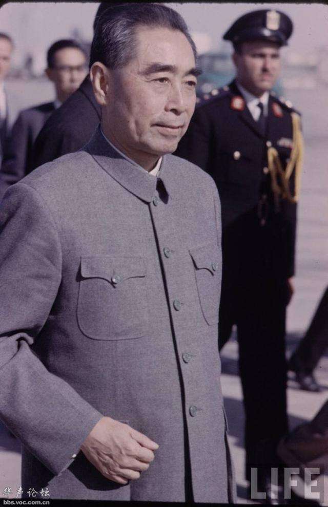 timg-3