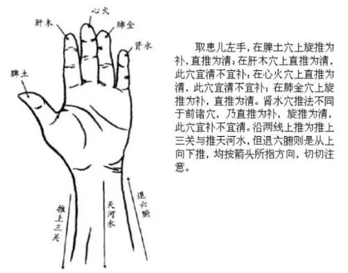 人体X形平衡法--白血病