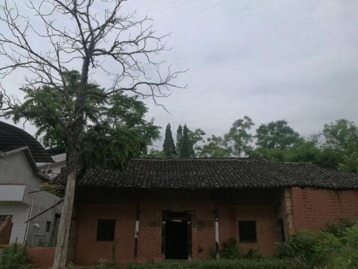 岁月留下最真的情