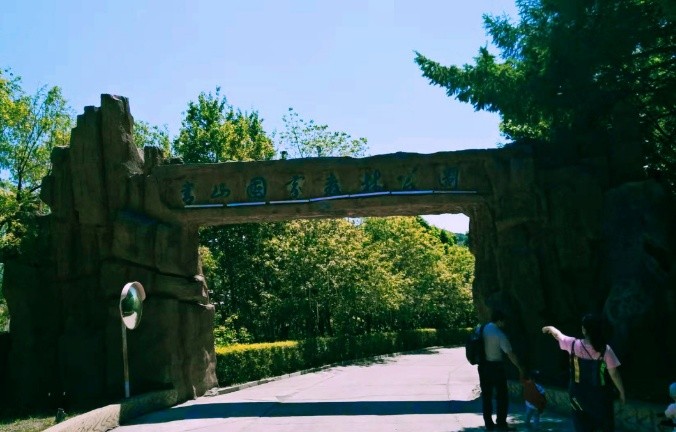绿满溪:推荐《青山添“迷障”》游记第十四期(总第443期)的作品(图2)
