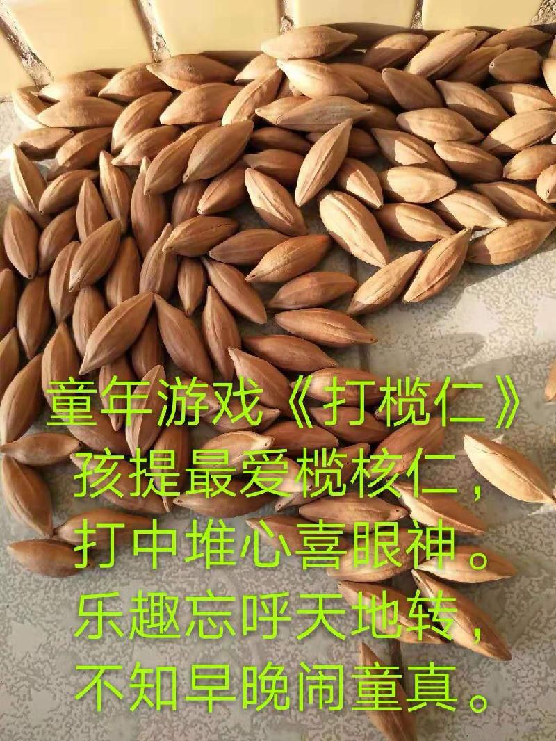 mmexport1579071524223