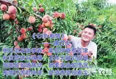 mmexport1579071464905