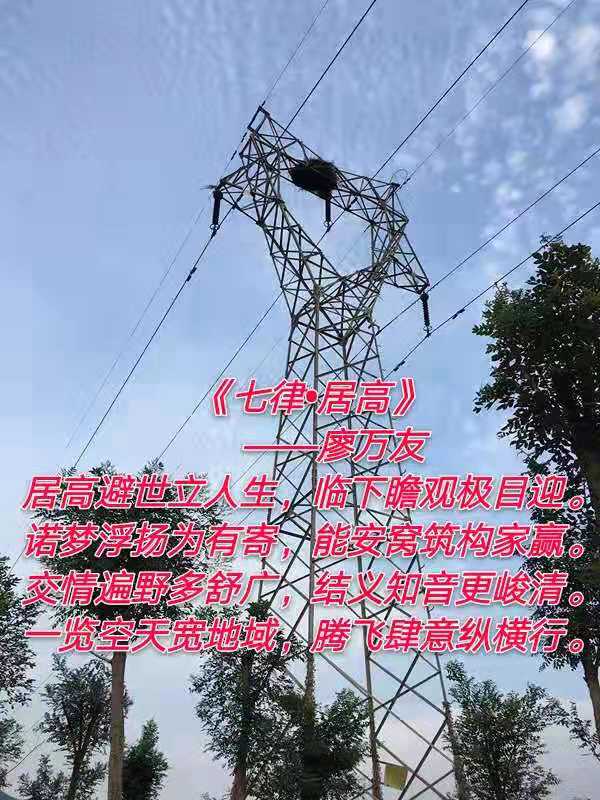 mmexport1579071462120
