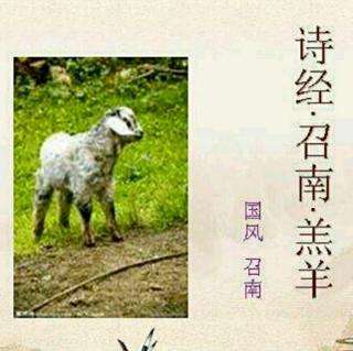 timg (17)