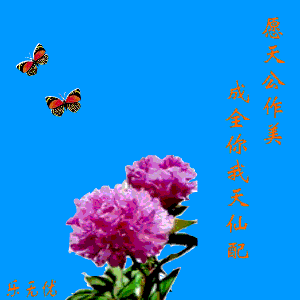 timg-1217