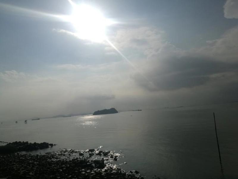 mmexport1579711926957