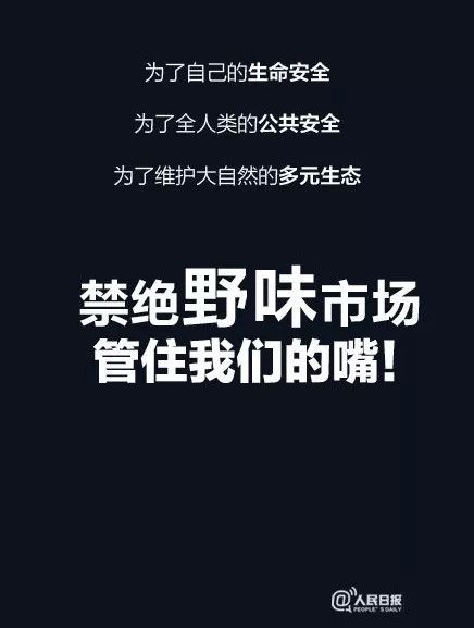 mmexport1579705002231