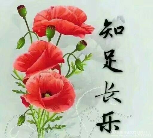 c5905a9f4e7041c38508bda8c832bda8