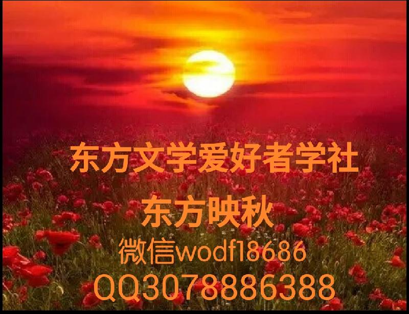 IMG_PITU_20191108_010901