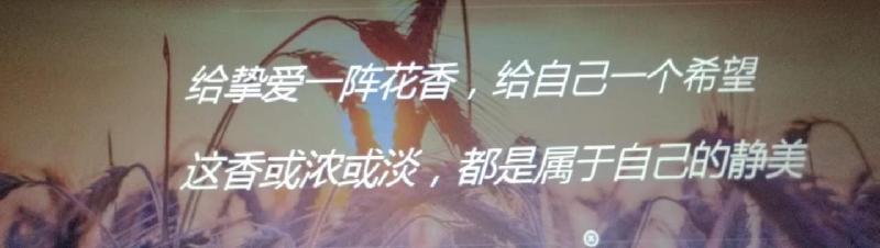 mmexport1580141888074