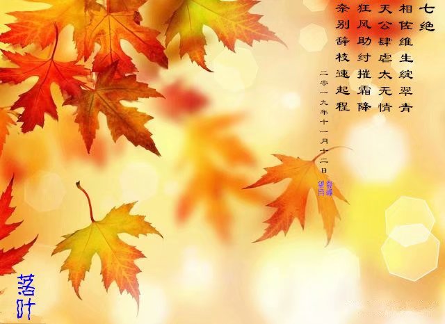 mmexport1580271812721