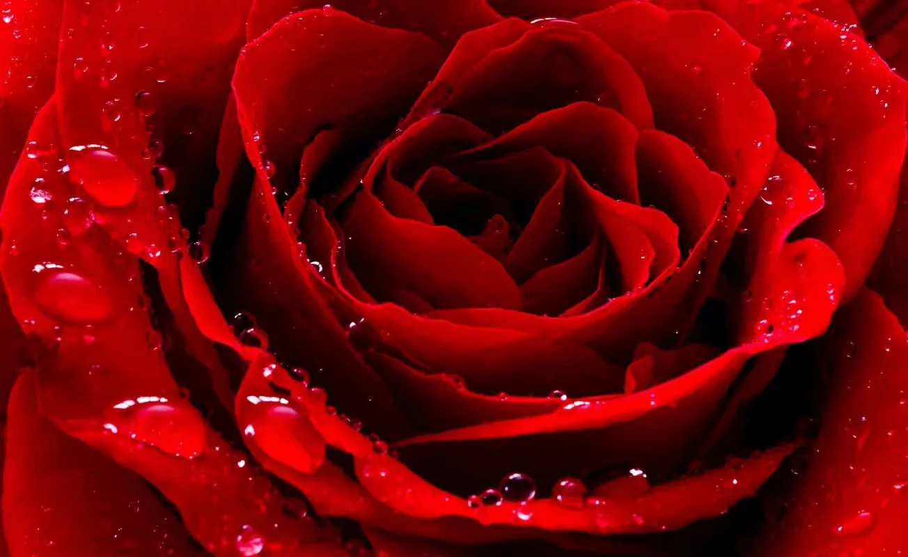 1580390819337.webp