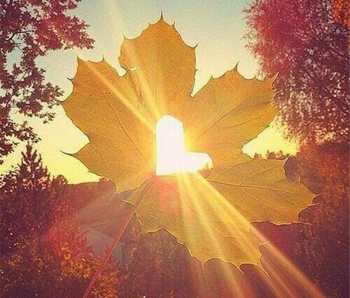 《中国爱情诗刊》【中国爱情诗人档案】(第942期)江苏诗人:赵成武的诗(图3)