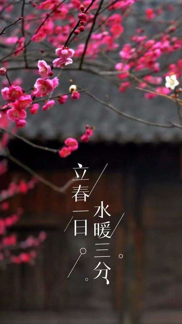 mmexport1580785238791