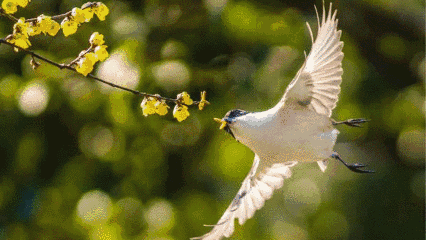 1580808640738