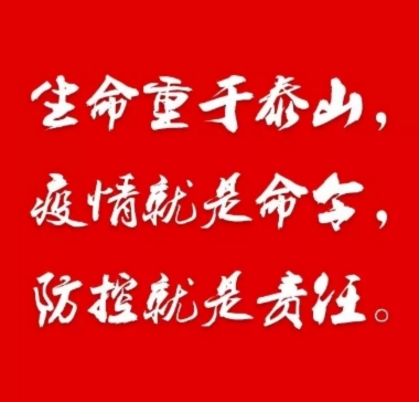 mmexport1580784121958