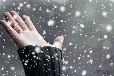 timg-1327