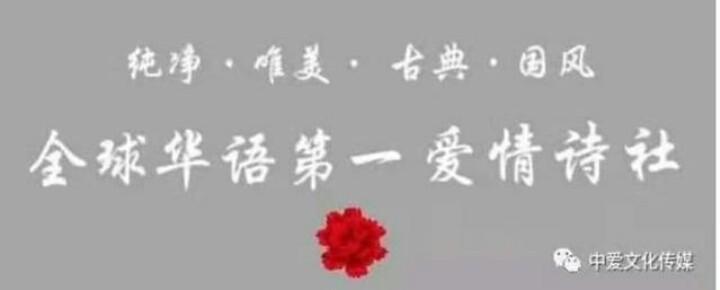 《中国爱情诗刊》【中国爱情诗人档案】(第953期)陕西诗人:寒流的诗(图9)