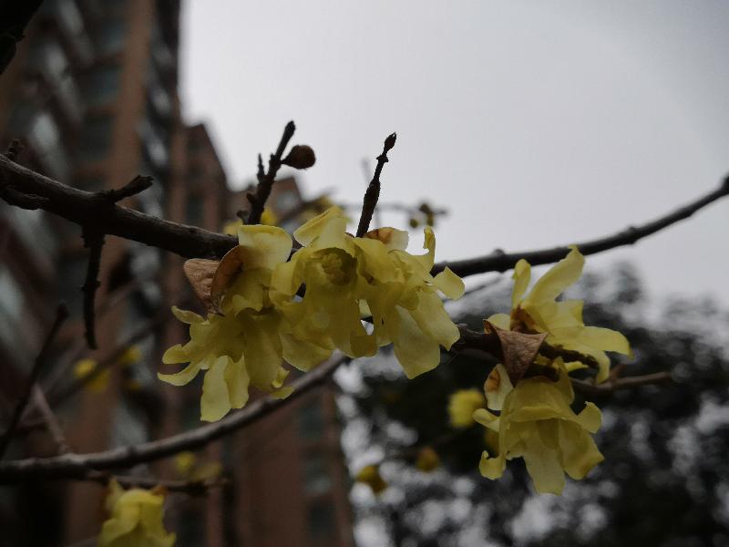 IMG_20200205_143355