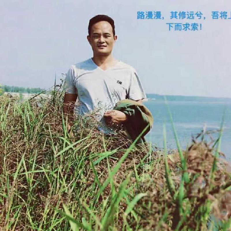 hdImg_16252436b41baae04c1979f57bd88b8f1581147082769