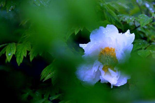 5CE00CB5-7696-4782-9DC1-FE6B24E59F8A