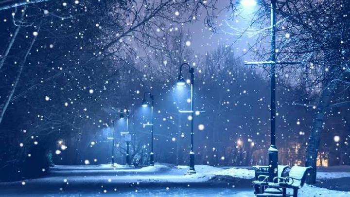 醉雪