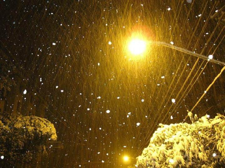醉雪（图3）