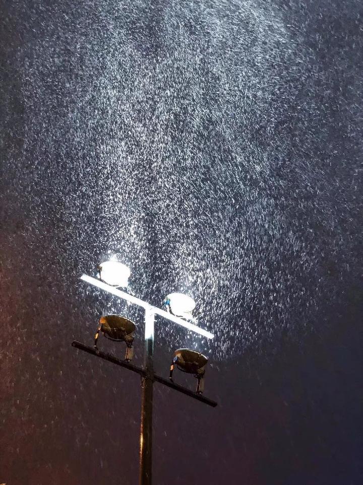 醉雪（图4）