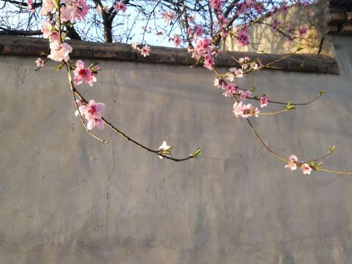 《山东诗人鞠治涛》诗词（图3）