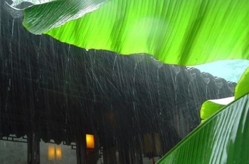 暴雨 作者/孙迎浩（图2）