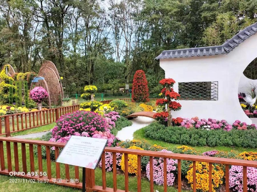 《浦东川沙护城河》（外四首）作者：凌霞珍（图3）