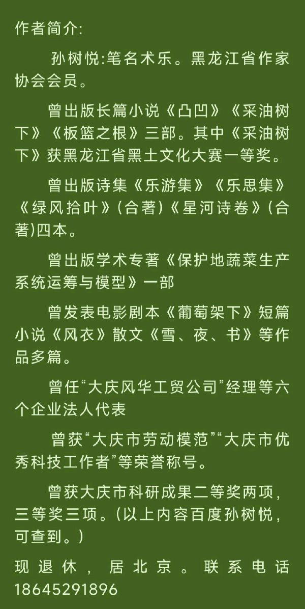 中华诗艺社黑龙江分社推介/书乐新诗选(三)（图10）