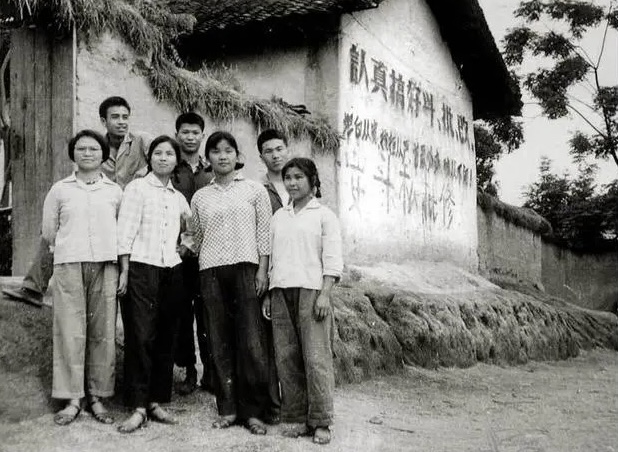【新诗大观】牛棚里不只住着两头牛，还有一匹马||文/李月芳