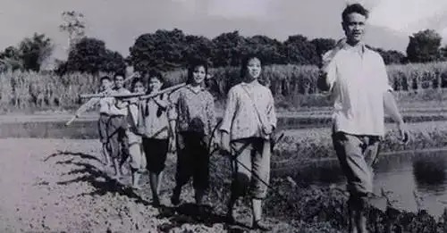【新诗大观】牛棚里不只住着两头牛，还有一匹马||文/李月芳（图2）