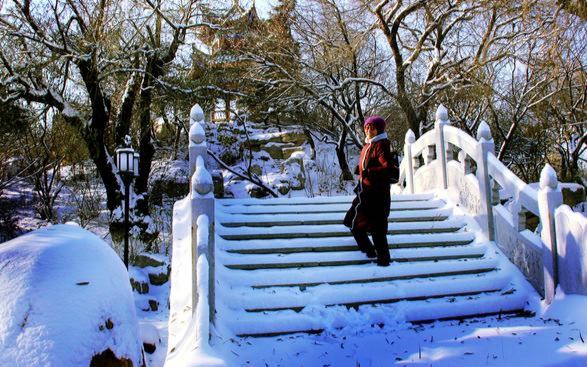 【新山东文学社】《雪天的心愿》作者/边风 主播/海豚（图5）
