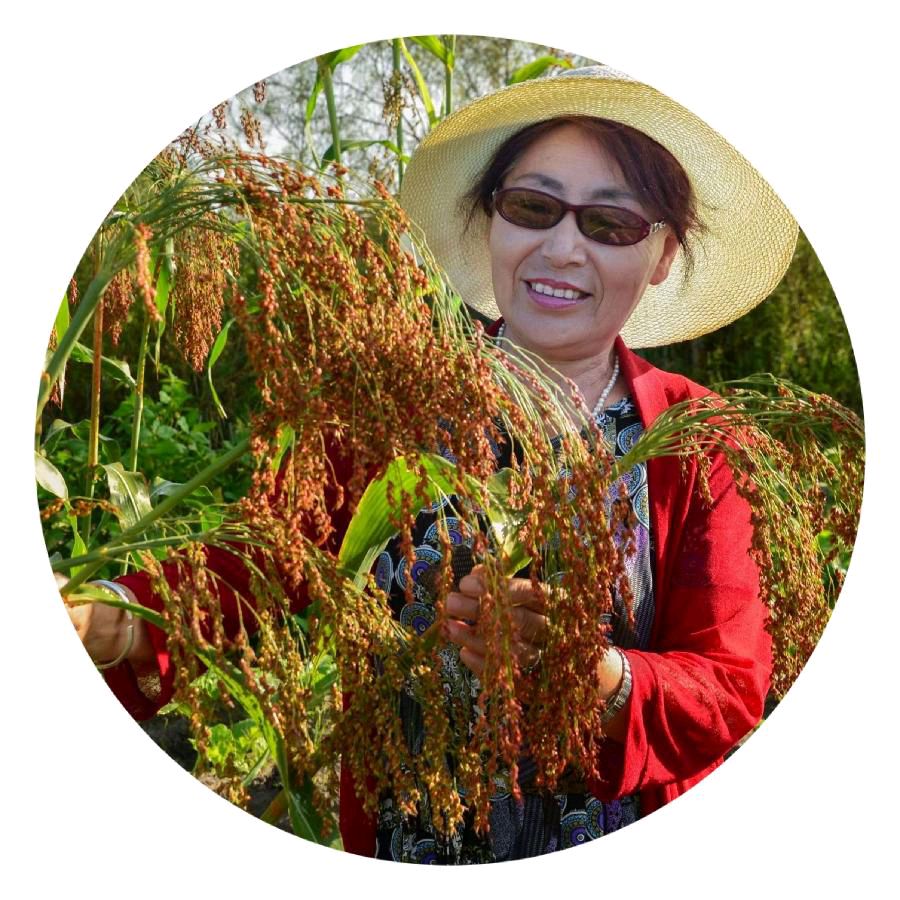 清风明月:兴隆镇舞龙健身队(二)