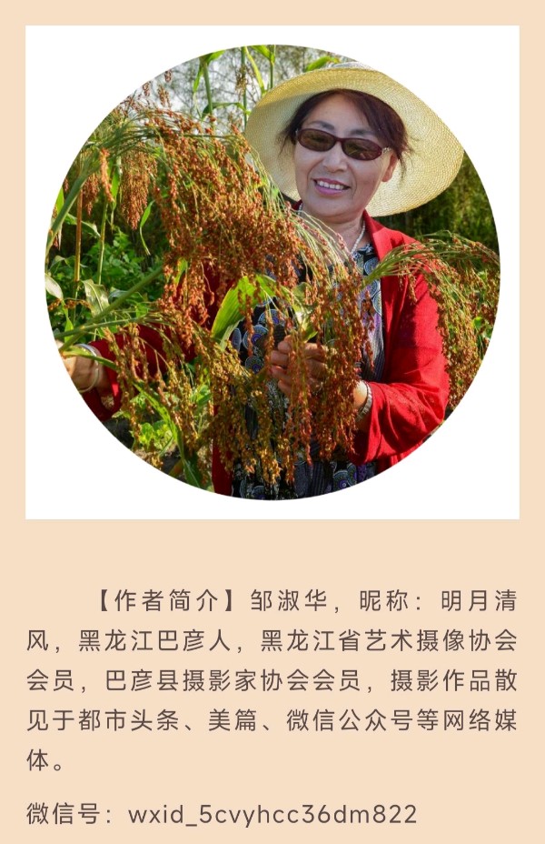 清风明月:兴隆镇舞龙健身队(二)（图24）