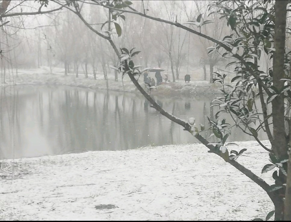 水仙子 故园逝后逢初雪 原作/梁立锋（图2）