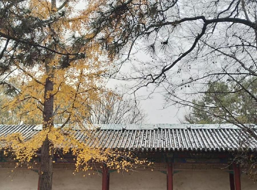 王佐臣评桑恒昌现代诗《江南诗絮文化中心》(图9)