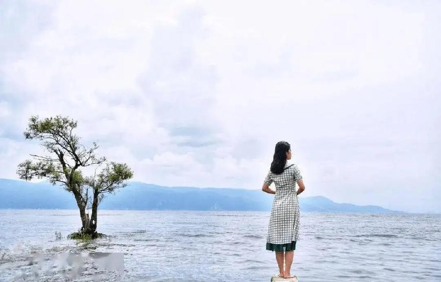 【新诗大观】让人三尺 渡己一生||诵/文嘉(图4)
