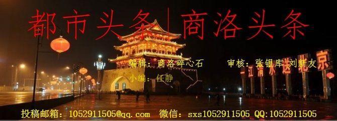 情暖重阳,关爱老人:商州区民政局公益在行动(图18)