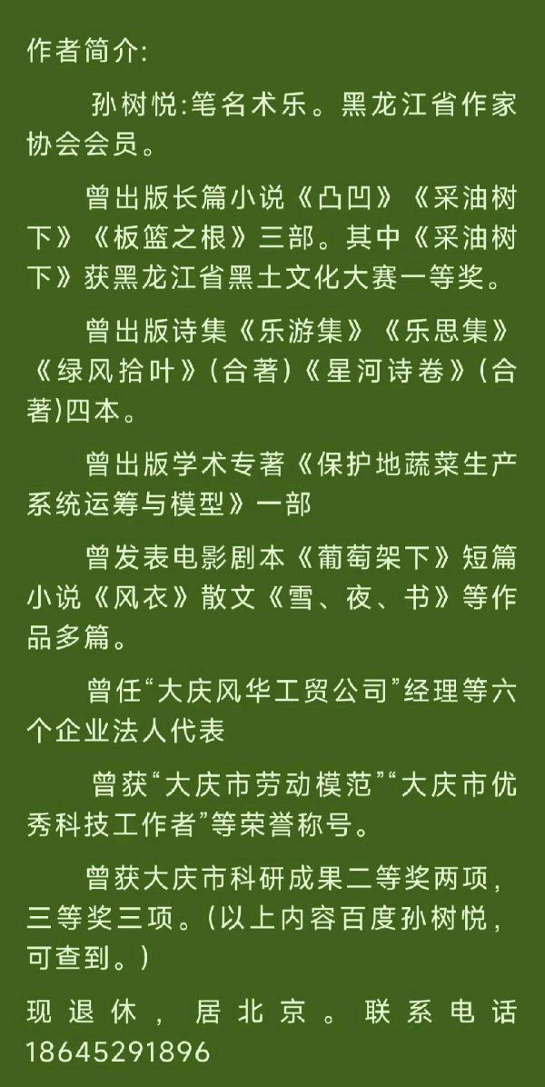 中华诗艺社黑龙江分社诗词选(四)(图17)