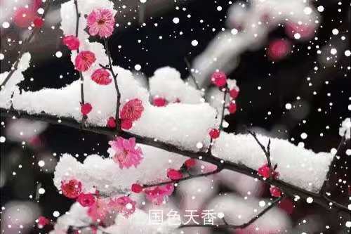 《全球詩人兿術家月刊》王佐臣-专辑(图8)