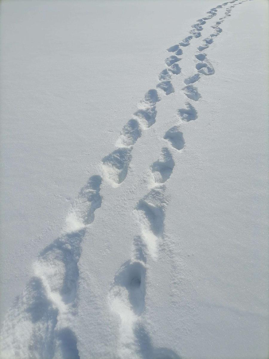 一 场 大 雪 （组诗） 湖北 蓝天风（图3）