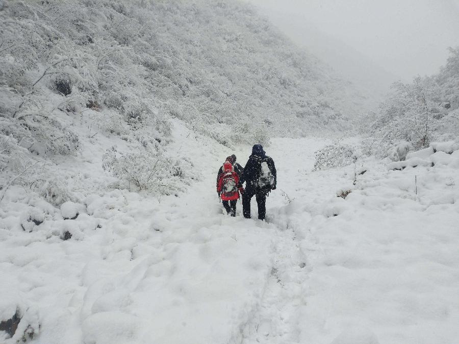 一 场 大 雪 （组诗） 湖北 蓝天风（图9）